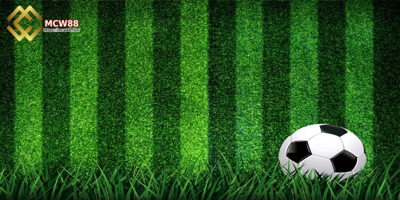 বিশ্বস্ত বুকমেকার নির্বাচন করুন