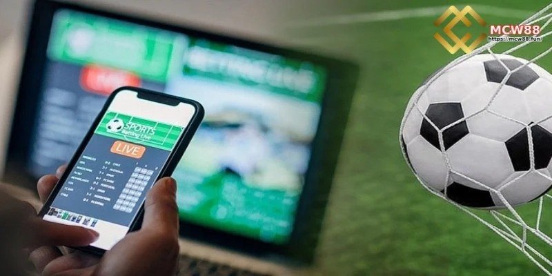 অনলাইন বেটিং সম্পর্কে পরিচিতি