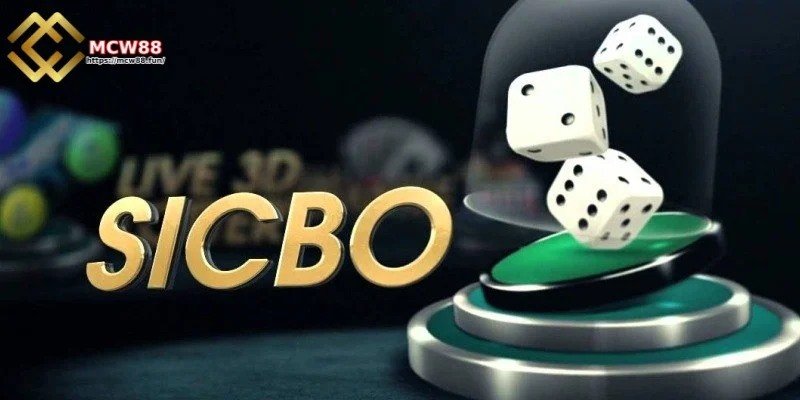 সিকবোতে জানা প্রয়োজন কিছু মৌলিক শব্দ