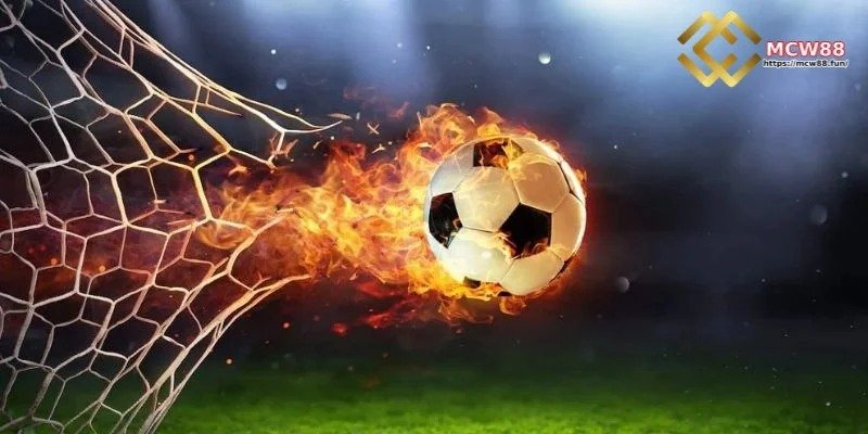 স্পোর্টস কেল্লা রেট কী?